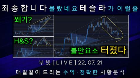 비트코인 부빗 테슬라가 비트 다팔았다 현재 매우 중요국면 꼭 들어주세요 220721 알트코인 주식 선물