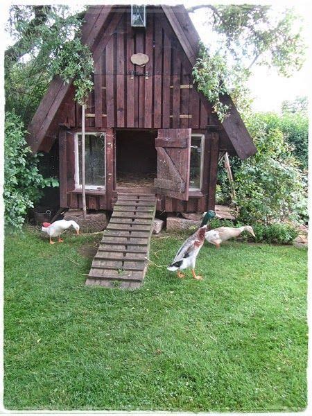 Free Diy Duck House Coop Plans Ideas That You Can Easily Build