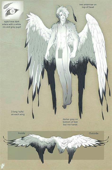 an image of some white and black angel wings with instructions on how to draw them