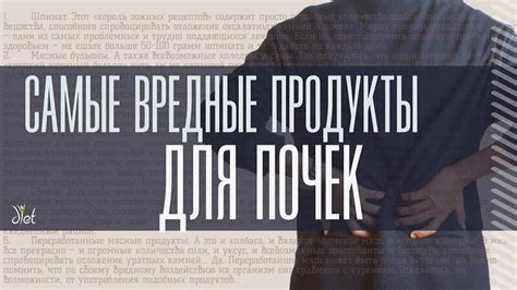 Диета для почек: какие продукты и почему вредят здоровью почек