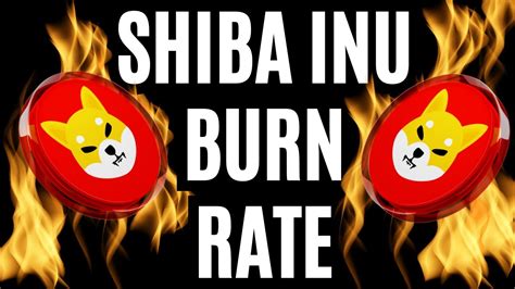 Shiba Inu Burn Rate Surges Shiba Inu Wallet Youtube