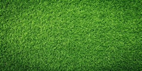 Lawn Care Background Images Browse 1283247 Stock Photos Vectors