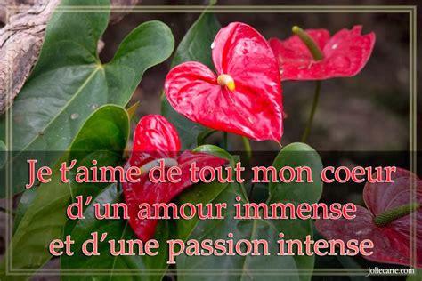 Citations Et Panneaux Facebook Partager Panneau D Claration D Amour