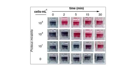 Ultrafast And Ultrasensitive Naked Eye Detection Of Urease Positive