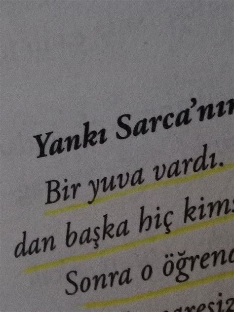 Yanki Sarca