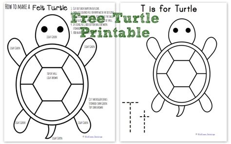 How to make a Felt Turtle {ABC Animals in Felt} - Wildflower Ramblings New