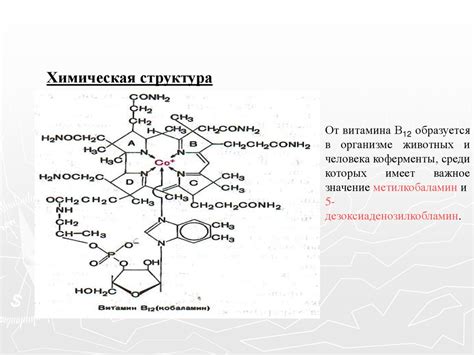 Биохимия витаминов. Водорастворимые витамины - online presentation
