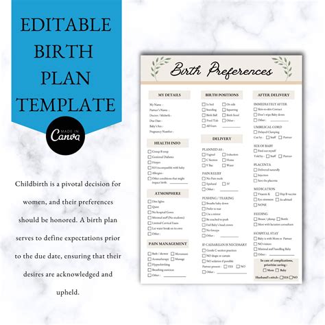 Birth Plan Template Editable Birth Plan Template Printable Birth Plan Labour And Delivery