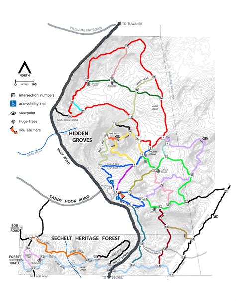 21 Best Hikes on the Sunshine Coast, BC