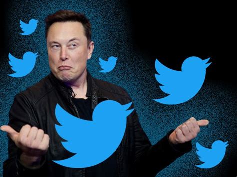 Elon Musk Tells Tesla Shareholders That His Twitter Purchase Has Been