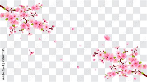 Spring Sakura Branch With Falling Petals Vector Illustration Pink