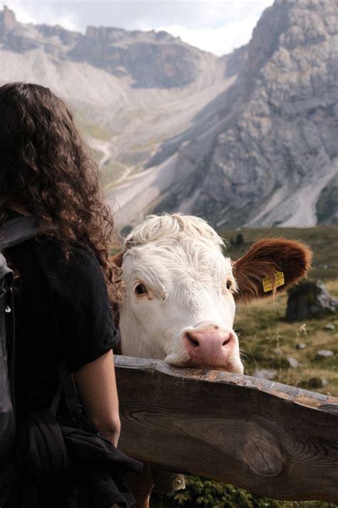 Seceda Ridgeline Best Hike Dolomites Val Gardena Where And Wander