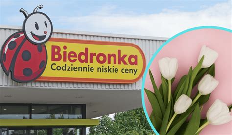 Panowie Dzień Kobiet tuż tuż Biedronka przygotowała coś specjalnie na