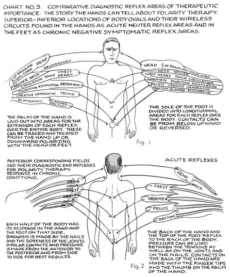 Polarity Therapy Charts 1 6 11 13 Polarity Therapy Polarity