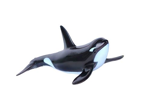 Orca whale miniature animal white background 27954248 Stock Photo at Vecteezy