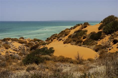 Shark Bay Western Australia World Heritage Site