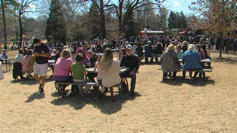 Memphis Botanic Garden's Cherry Blossom Picnic | localmemphis.com