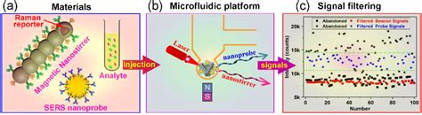 Design Of Raman Reporter Embedded Magnetic Plasmonic Hybrid