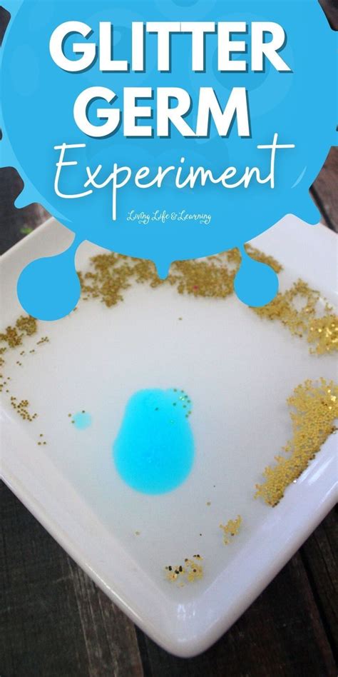 Glitter Germ Experiment Artofit