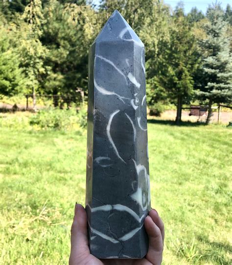 491 Lb Thousand Eyes Stone Aka Fossil Shellstone Obelisk Etsy