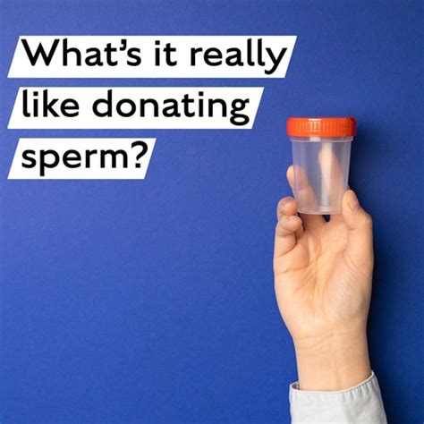 How To Find A Sperm Donor — And Choose A Good One