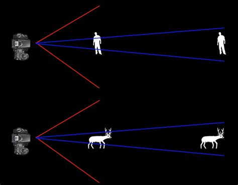 Understanding Wide Vs Telephoto Lenses Campbell Cameras Infocus Blog