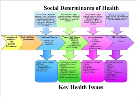 Overview Of The Social Determinants Of Health Across The Life Course