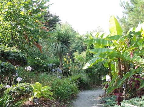 Visite Tropicarium Bonsaï Parc ou jardin Jardin tropical à LA BAULE