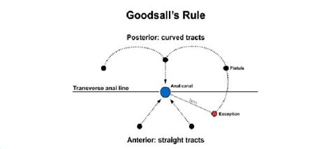 Schematic diagram of Goods all's Rule. | Download Scientific Diagram