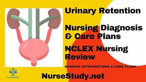 Urinary Retention Nursing Diagnosis Care Plan NurseStudy Net