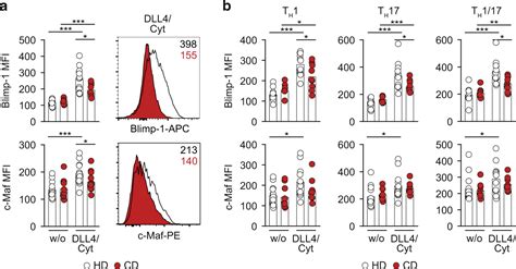 A Notch STAT3 Driven Blimp 1 C Maf Dependent Molecular Switch Induces