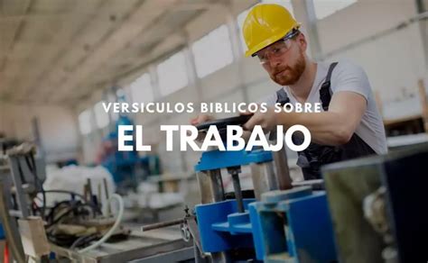 ᐅ 24 Versículos De La Biblia Sobre El Trabajo Nvi