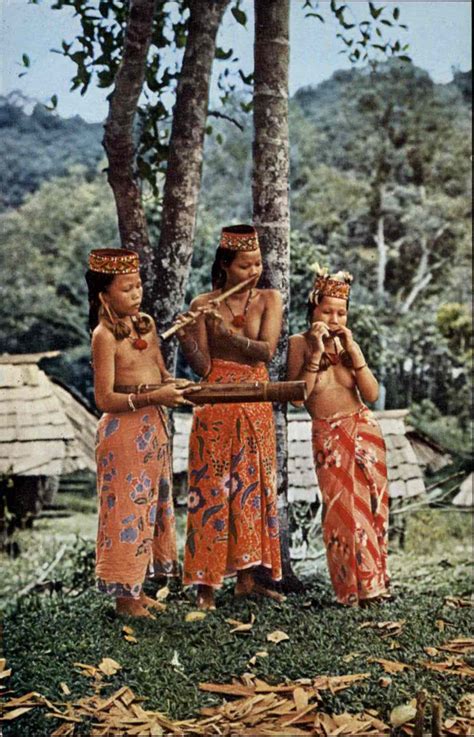 Cultures Ethnography Nude Beautiful Woman Harp Nose Flute Musical Instrument Kayan Girls