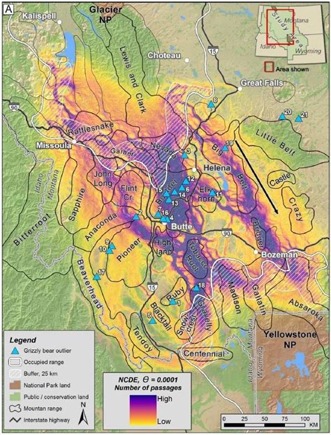 New Study Predicts Yellowstone Grizzly Bears Could Expand to Other ...