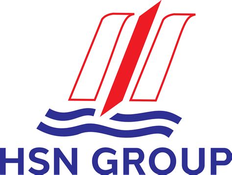 Tentang Hsn Group