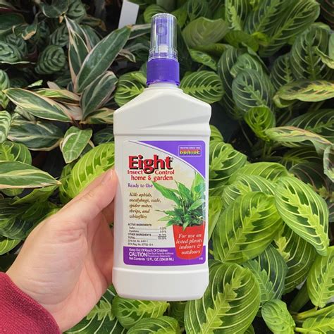 Bonide Eight Houseplant Spray Kleins Floral And Greenhouses