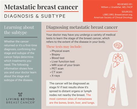 Breast Cancer Metastasis To Lung And Brain Life Expectancy At Norma