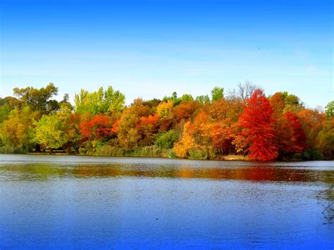 Wallpaper Reflection Nature Water Leaf Sky Lake Autumn Bank