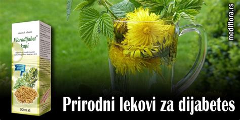 Prirodni Lekovi Za Dijabetes Mediflora