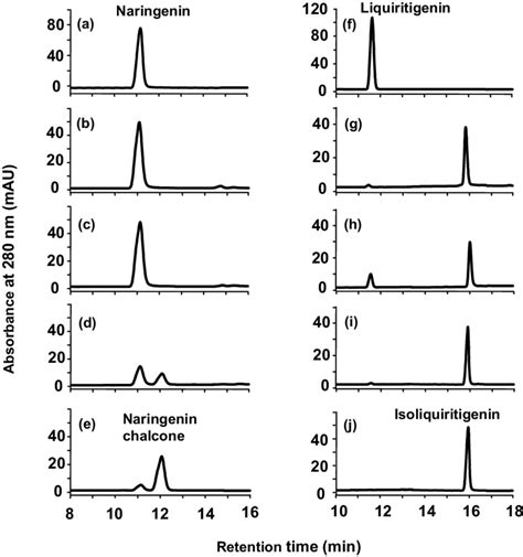 HPLC Analysis Of The Products Of In Vitro Reactions Comparing