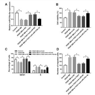 TUG1 Knockdown Inhibited The Proliferation And Migration By