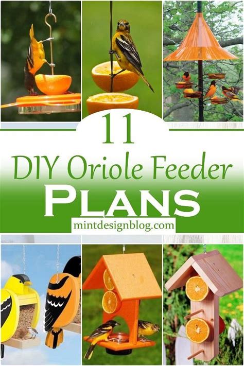 DIY Oriole Feeder Plans 1 Bird Feeder Plans Diy Bird Feeder Wooden