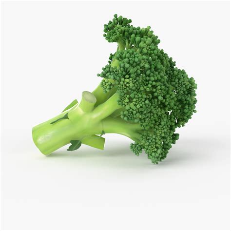 3d realistic broccoli real model