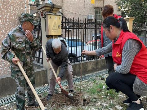 长兴县雉城街道开展“我为亚运种棵树，不负春光添新绿”义务植树活动 基层新闻 新闻中心 湖州市残疾人服务网