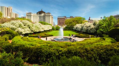 Regina Martin: Central Park Spring Flowers - The Flowers in Central ...