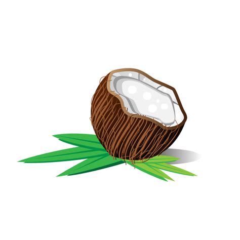 Coconut Half Free Svg