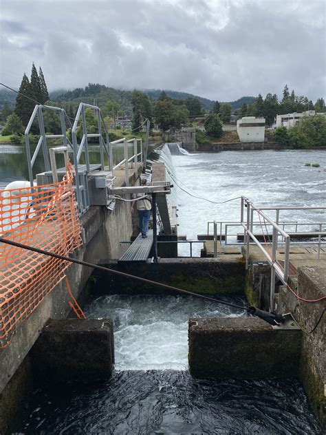 At Winchester Dam, Every Pacific Lamprey Counts - Cow Creek Band of