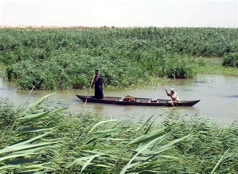 filemarsh arabs   mashoofjpg wikimedia commons