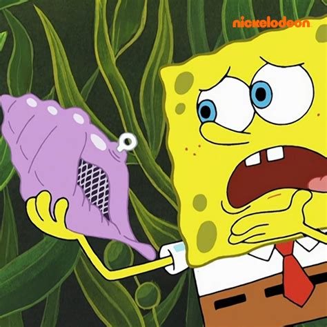 Spongebob Consults The Magic Conch Scene The Magic Conch Shell