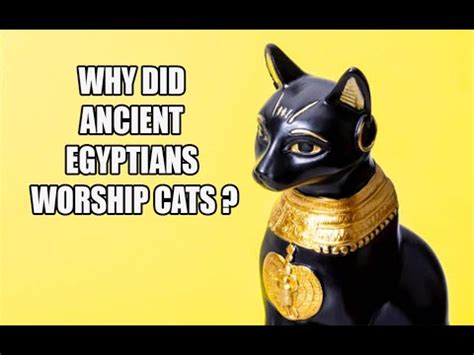 Why Did Ancient Egyptians Worship Cats Youtube